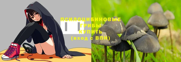 прущая мука Алексин