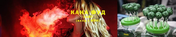 ECSTASY Алзамай