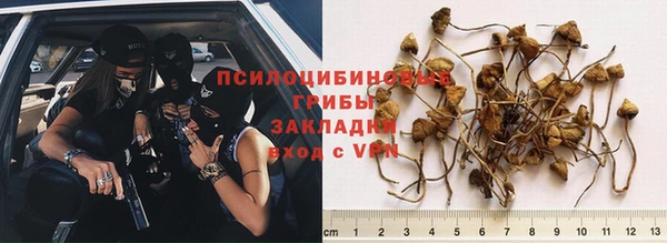 jwh Абаза
